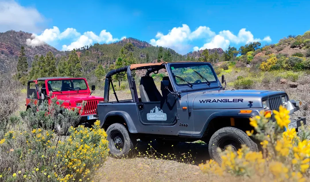 Jeep Safari Gran Canaria