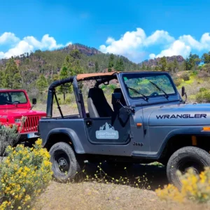TOUR EN JEEP EN GRAN CANARIA (1/2 PERSONAS)